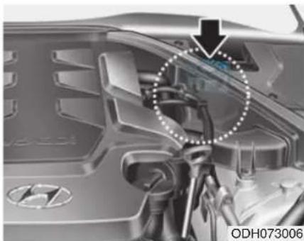 HYUNDAI Genesis (2016) - LIQUIDE DE FREIN - 1