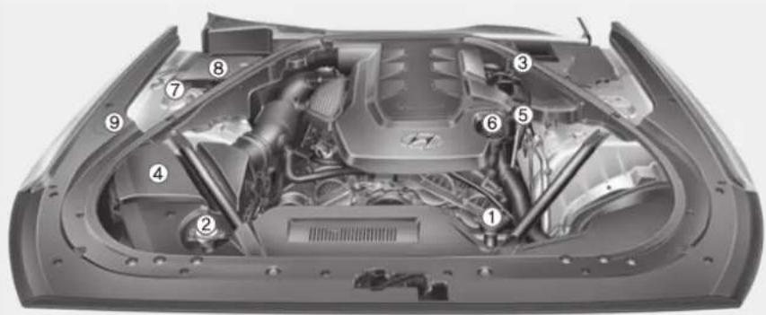 HYUNDAI Genesis (2016) - COMPARTIMENT-MOTEUR - 1