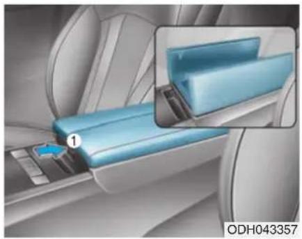 HYUNDAI Genesis (2016) - AVERTISSEMENT - 1
