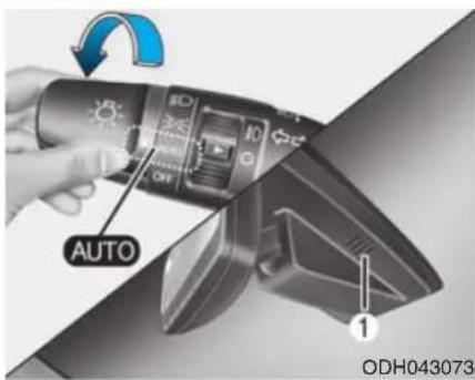 AUTO 1 ODH043073