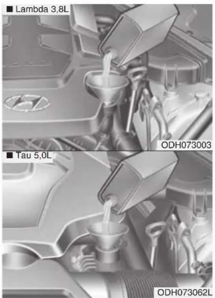 ■ Lambda 3,8L ■ Tau 5,0L ODH073003 ODH073062L