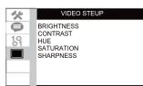MUSE M-770 DP - VIDEO SETUP - 1