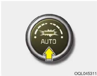 AUTO OQL045311