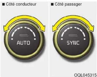Côté conducteur AUTO SYNC Côté passager OQL045315