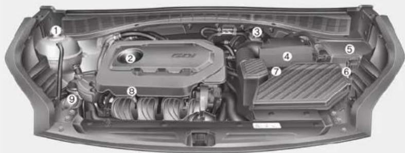 KIA Sportage (2017) - COMPARTIMENT-MOTEUR - 1