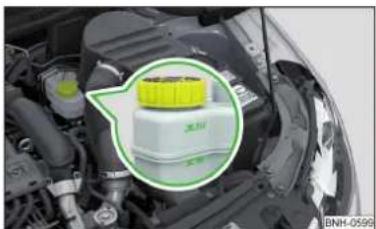 SKODA Rapid (2017) - Nota - 1