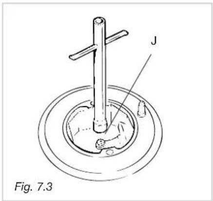 J Fig. 7.3