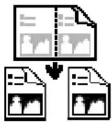 graph TD A["Input Image"] --> B["Document Review"] B --> C["Output Image"] D["Document Review"] --> E["Output Image"]