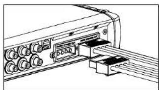 JL Audio HD600/4 - Speaker Connector Plugs - 1