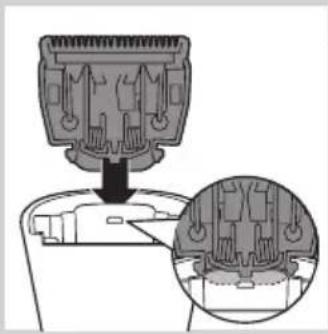 PHILIPS Series 3000 QT4000 - Cleaning - 2