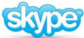 skype™