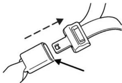 Lincoln LS (2004) - Seating and Safety Restraints - 1