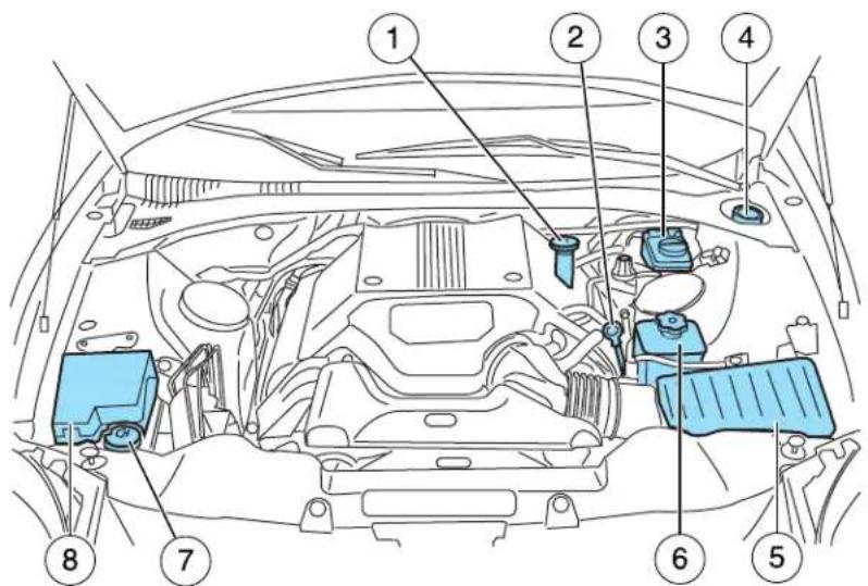 Diagram of a car engine bay with numbered parts for identification