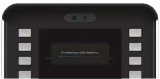 Cinoplester Kühnbädein...