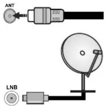 ANT LNB