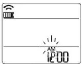 AM 12:00
