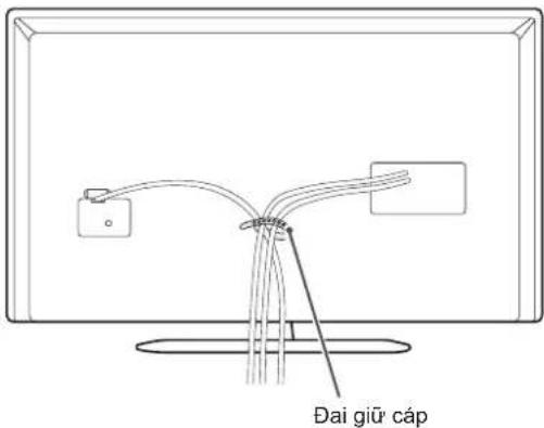 Đai giữ cấp