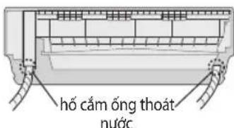 hỗ cắm ống thoát nước