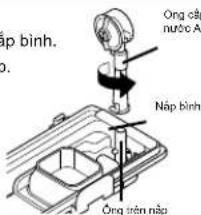 Ong épân n Puerto A Náp bình Ong trén náp