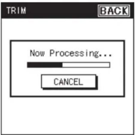 TRIM BACK Now Processing... CANCEL