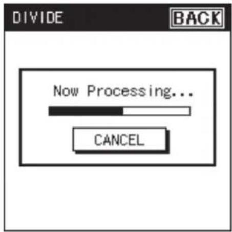 DIVIDE BACK Now Processing... CANCEL