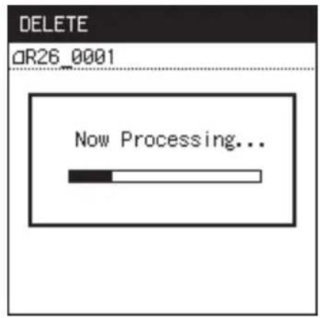 DELETE DR26_0001 Now Processing...