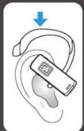 SENNHEISER EZX 80 - SENNHEISER - 9
