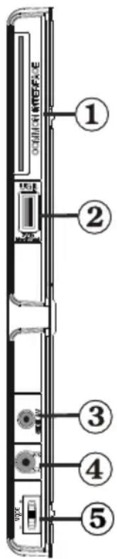 SALORA 32LED7115CDW - Affichage des branchements - Connecteurs latéraux - 1