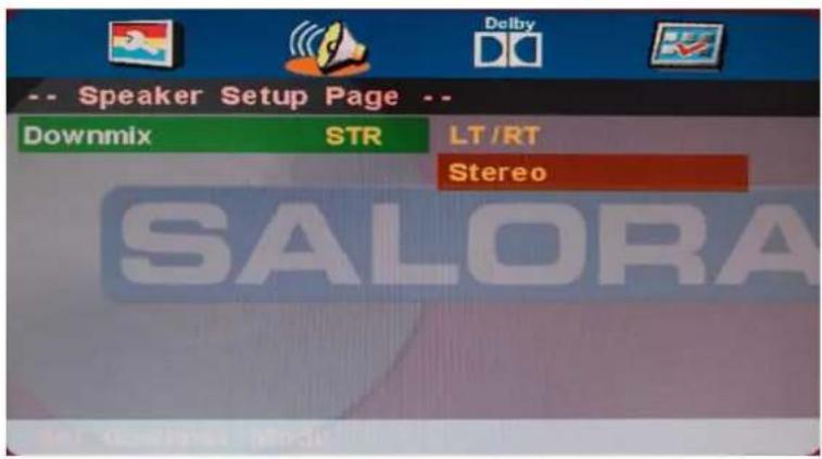 -- Speaker Setup Page -- Downmix STR LT/RT Stereo SALORA