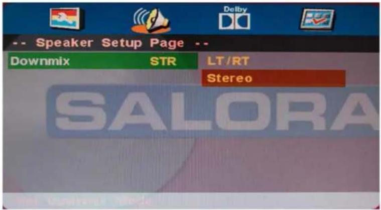 -- Speaker Setup Page -- Downmix STR LT/RT Stereo SALORA