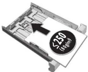 <250 (80 gm)