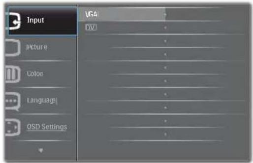 Input Picture Color Language OSD Settings VGA DV