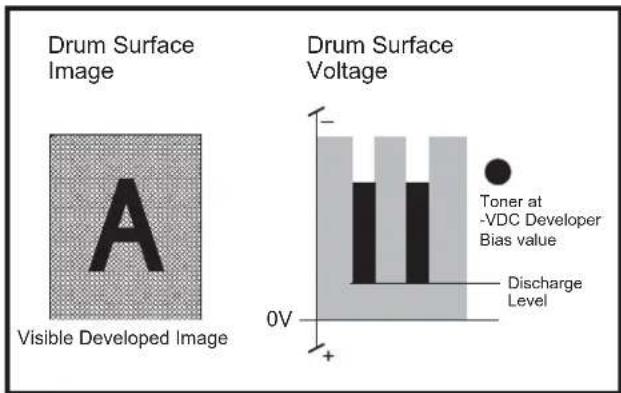 Drum Surface Image Visible Developed Image Drum Surface Voltage Toner at -VDC Developer Bias value Discharge Level 0V