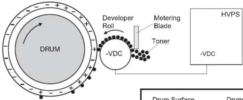 DRUM Developer Roll Metering Blade Toner -VDC HVPS -VDC Drum Surface Drum