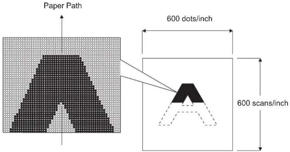 Paper Path 600 dots/inch 600 scans/inch