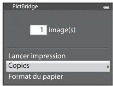PictBridge 1 image(s) Lancer impression Copies Format du papier