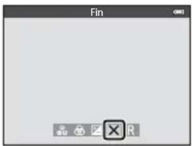 Fin R