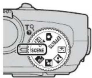 T SCENE