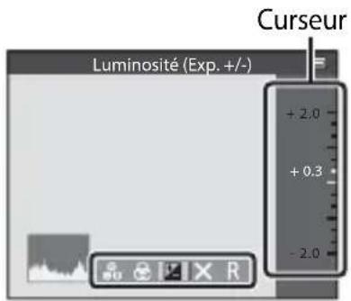 Luminosité (Exp. +/-) + 2.0 + 0.3 - 2.0 Curseur