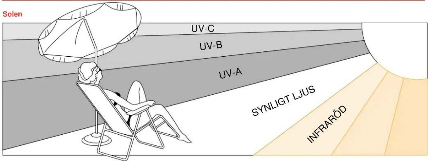Solen UV-C UV-B UV-A SYNLIGT LJUS INFRARÖD