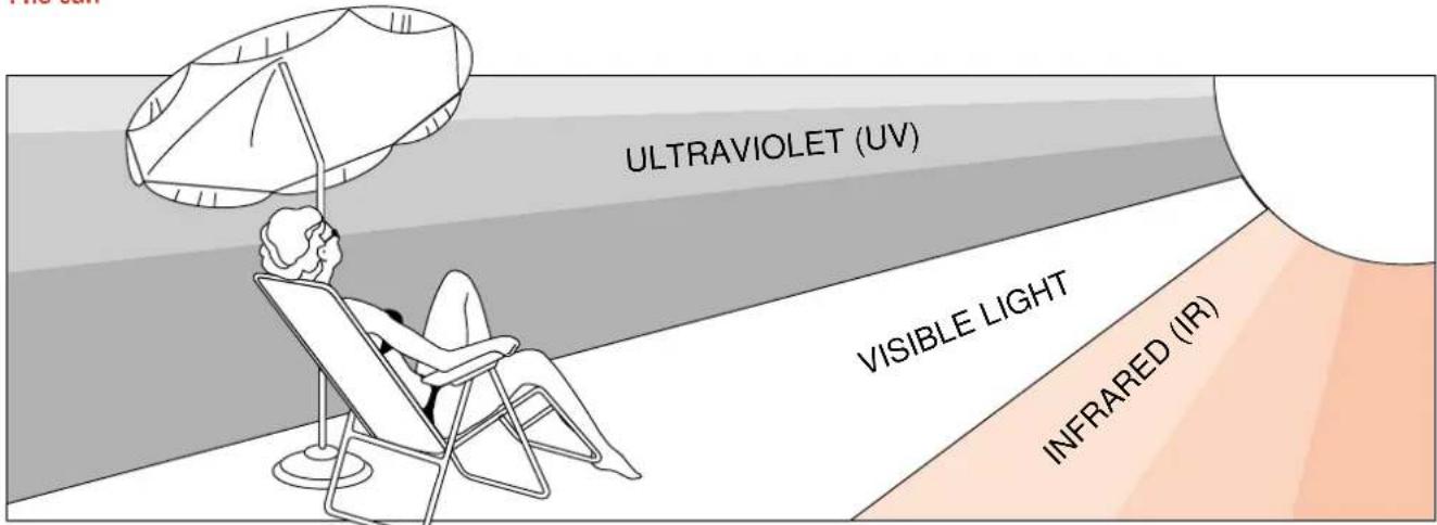 ULTRAVIOLET (UV) VISIBLE LIGHT INFRARED (IR)