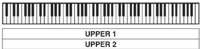 UPPER 1 UPPER 2