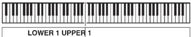 LOWER 1 UPPER 1