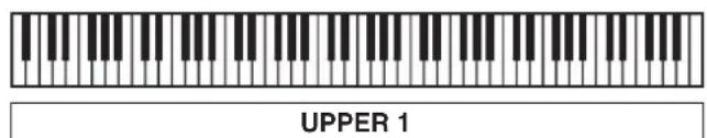 UPPER 1
