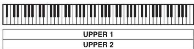 UPPER 1 UPPER 2