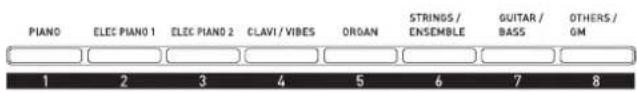 PIANO ELEC PIANO 1 ELEC PIANO 2 CLAVI/ VIBES ORGAN STRINGS / ENSEMBLE GUITAR / BASS OTHERS / GM 1 2 3 4 5 6 7 8