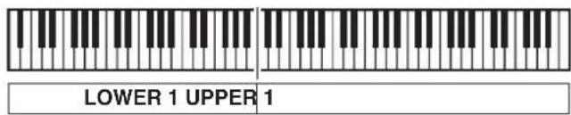LOWER 1 UPPER 1