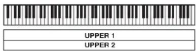UPPER 1 UPPER 2