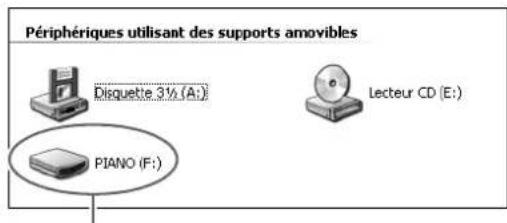 Périphériques utilisant des supports amovibles Disquette 3½ (A:) PIANO (F:) Lecteur CD (E:)