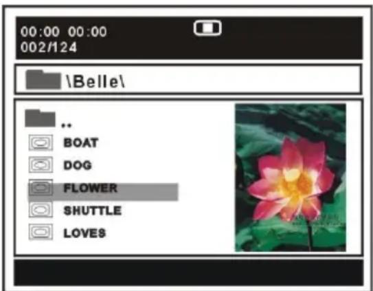 00:00 00:00 002/124 \Belle\ .. BOAT DOG FLOWER SHUTTLE LOVES
